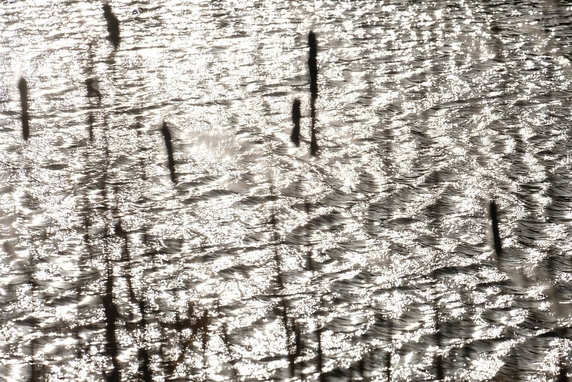 Lumières dansantes, éclats du soleil sur les vagues, l'eau en mouvement par Jacqueline de Calonne Bol