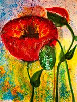 Mohnblume mit Knospe