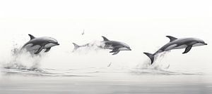 Dolfijn | Dolfijnen van ARTEO Schilderijen