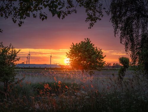 Zonsondergang bij de Elshoutse Wielen