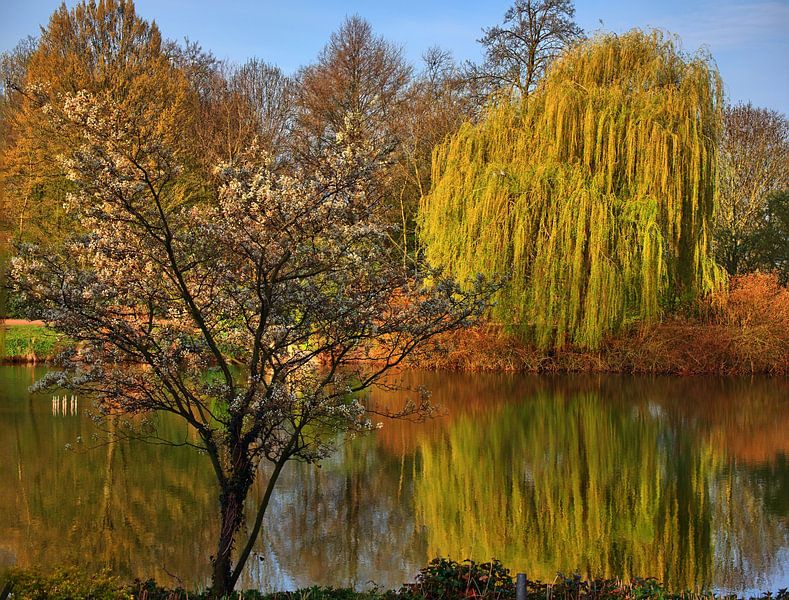 Panorama du printemps par Edgar Schermaul