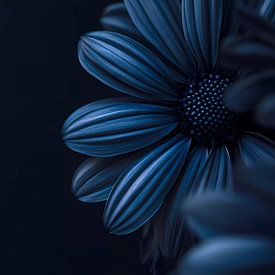 Blue flowers by haroulita