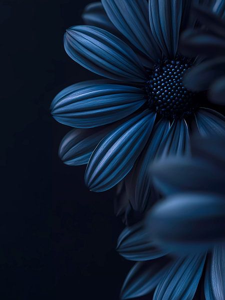 Blue flowers by haroulita