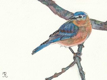 Blaukehlchenblick von Irina Rammos