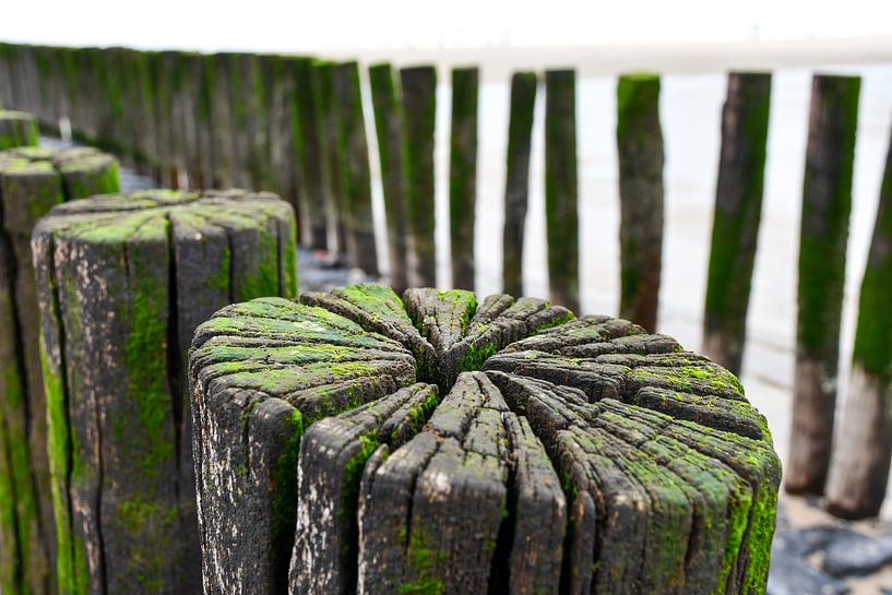 Old poles on the beach by Veelzijdig Zeeland