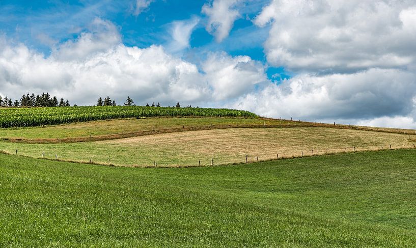 Undulating agricultural fields by Werner Lerooy