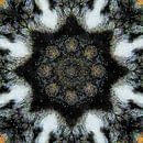 Cat Fur Kaleidoscope 2 by Dorothy Berry-Lound thumbnail
