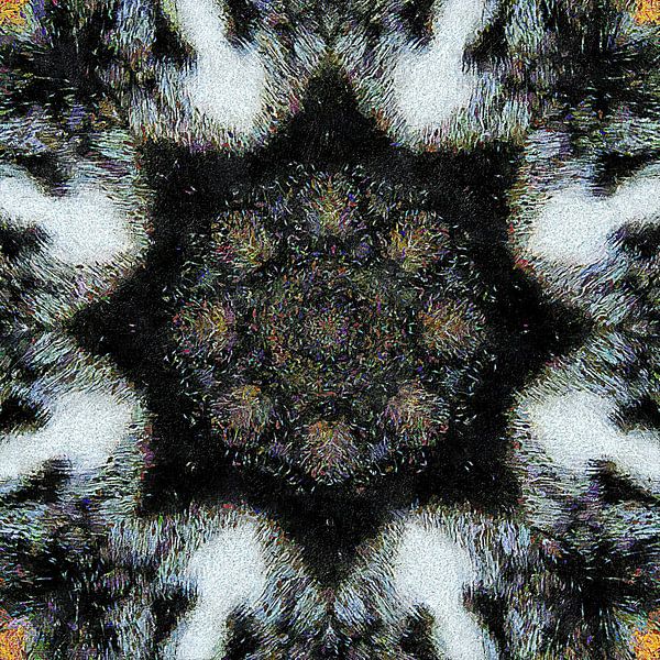 Cat Fur Kaleidoscope 2 by Dorothy Berry-Lound