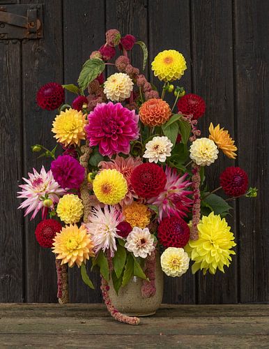 Choix de la couleur du dahlia sur Ingrid De Laat- de Bont