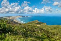 View to Cape Reinga, New Zealand