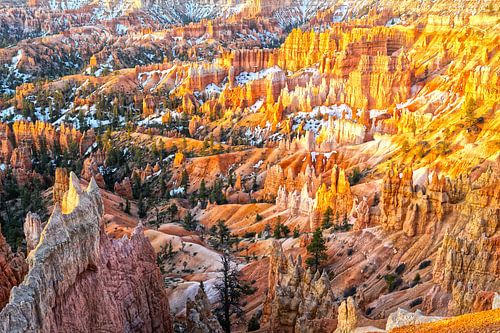 Amphitheater van Bryce National Park met sneeuw