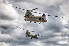 Chinooks néerlandais au-dessus de Beekhuizerzand sur Grizzly Lars