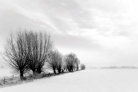 Schneelandschaft im Winter