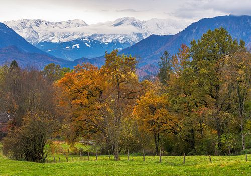 Paysage d'automne à Munrau avec vue sur les Alpes