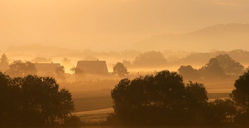 Brouillard matinal Jura souabe
