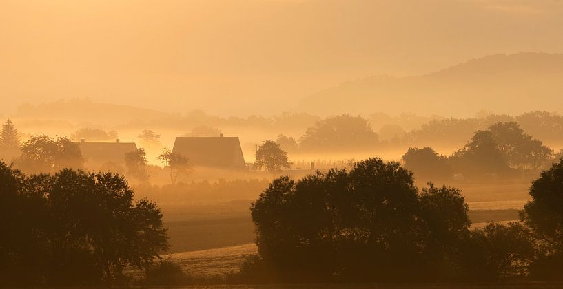 Brouillard matinal Jura souabe par Anselm Ziegler Photography