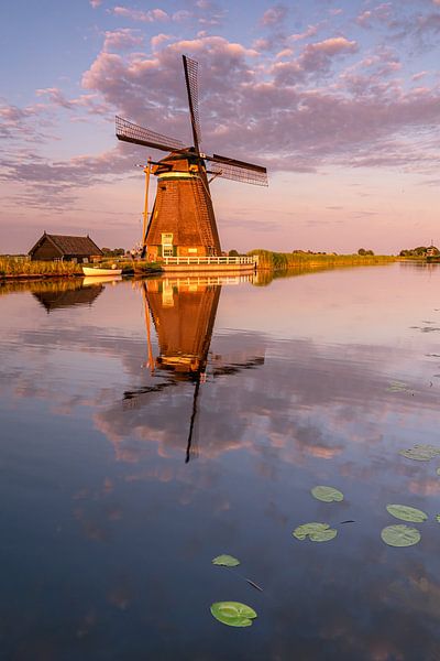 Typisch Nederlands van Jan Koppelaar