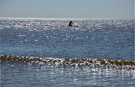 Northsea by Corinna Vollertsen