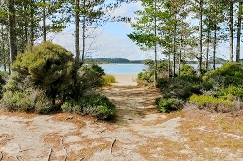 Pause – Natur pur – Ein Sandweg durch den Wald zu einer Bucht