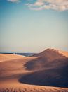 Dunas de Maspalomas (Gran Canaria) von Alexander Voss Miniaturansicht