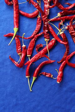 Red Chilli Peppers on Blue by Imladris Images