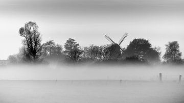 Mist eiland van Orangefield-images