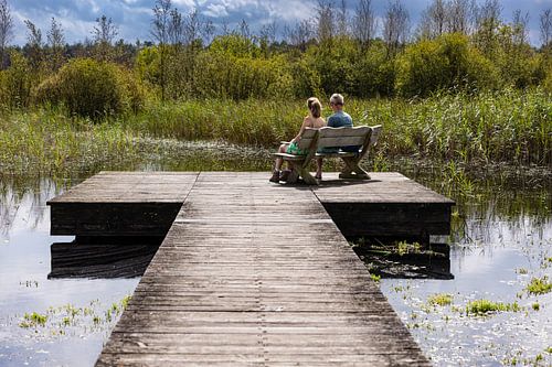 Assis tranquillement sur une terrasse au bord d'un lac dans la forêt