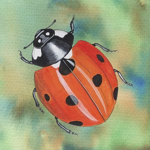Ladybug by Jasper de Ruiter