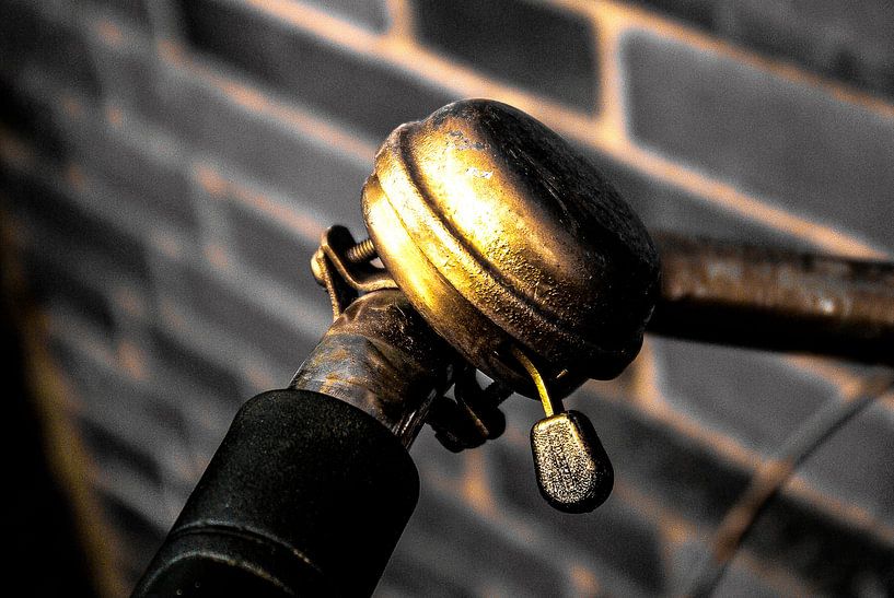 the golden bicycle bell (2) by Norbert Sülzner