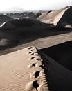 Zand duinen in de Huacachina woestijn/oasis | Peru van Felix Van Leusden thumbnail