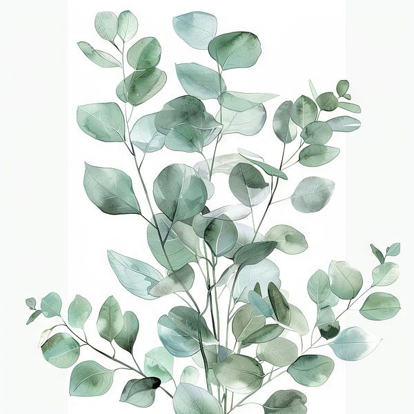 Eucalyptus by Poster Art Shop