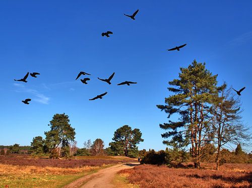 Lande de Westrup 1