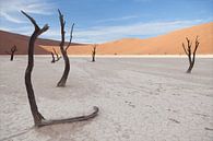 Deadvlei, Namibia van Babs Boelens thumbnail