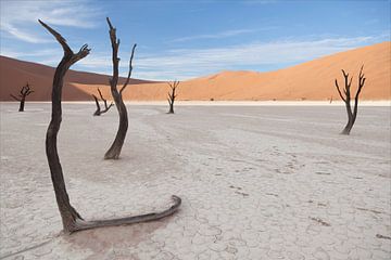 Deadvlei, Namibie sur Babs Boelens