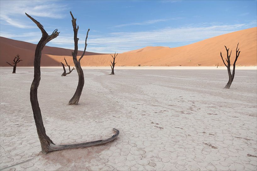Deadvlei, Namibia von Babs Boelens