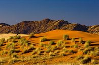 Namibia Wüste von Peter Michel Miniaturansicht