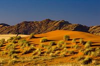 Namibia Wüste