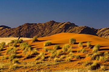 Namib Desert by Peter Michel