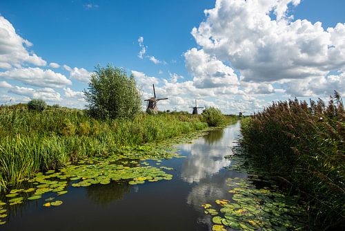 Kinderdijkse Windmolens
