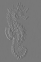 Seahorse ( drawing ) in stone effect