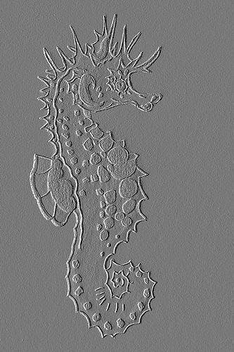 Seahorse ( drawing ) in stone effect