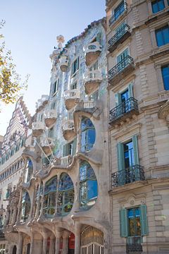 Barcelona - Casa Batlló van t.ART