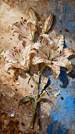 Zerbrechliche Schönheit von Kristin M