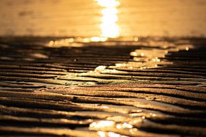 gouden strand van Tania Perneel