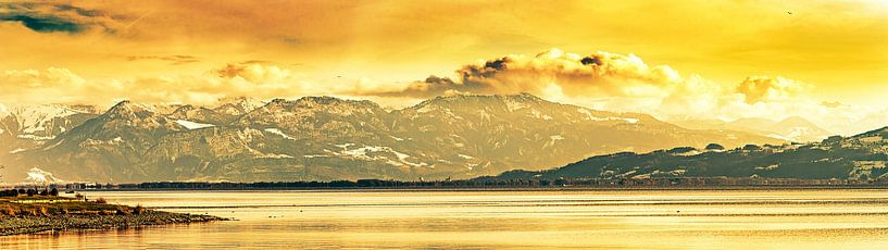 Panorama Bodensee und schweizer Alpen schneebedeckt  im Winter von Dieter Walther