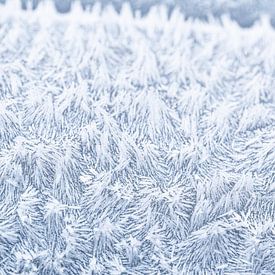 De magie van de vorst, abstracte winterse rijp van dichtbij van Christiaan Poot