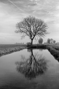 Spiegeling, Reflection