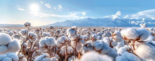 Uitgestrekte Katoenvelden no.1