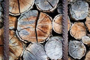 Firewood