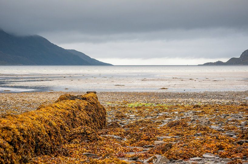 Inverie, Knoydart von Haaije Bruinsma Fotografie